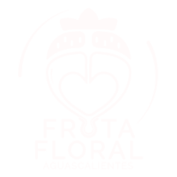 Fruta Floral Aguascalientes